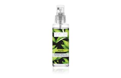 RYOR Refreshing Mist 100 ml